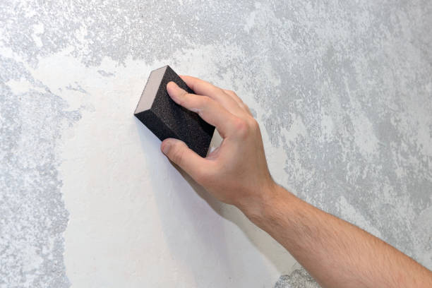 Mold Remediation for Rental Properties in Adamstown, PA