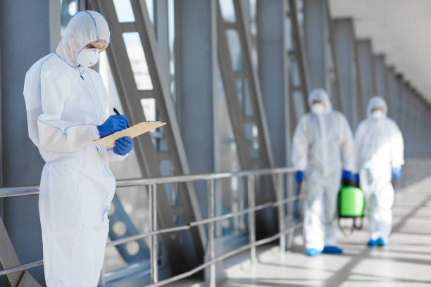 Best Mold-Related Health Consultation  in Adamstown, PA