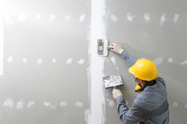 Best Mold Prevention Services  in Adamstown, PA