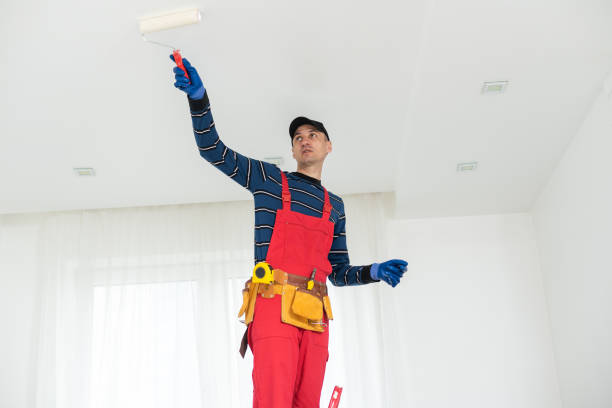 Best Mold Remediation for Vacation Homes  in Adamstown, PA