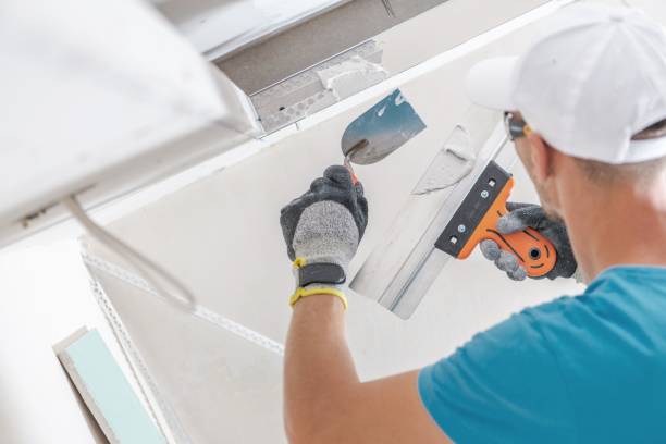 Best Basement Mold Removal  in Adamstown, PA